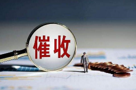 凤翔债务清欠服务